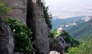 终南山修行的隐士