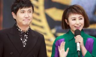 沈腾马丽再合作